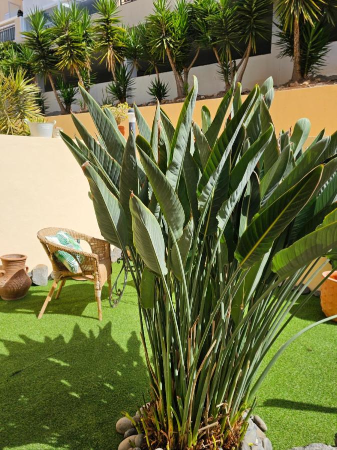 New Holiday Home Beautiful Sea View With Aircon, Costa Adeje Costa Adeje  Luaran gambar